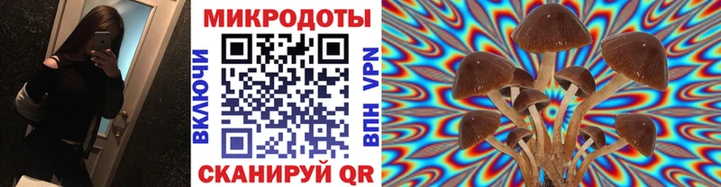 Галлюциногенные грибы Magic Shrooms  Купить закладки  Олёкминск 